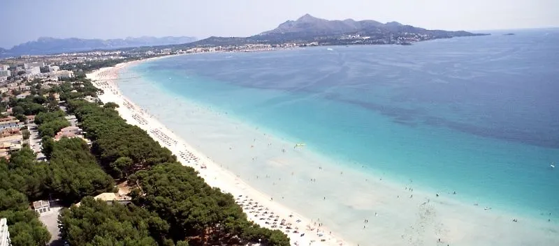 Apartmán Palm Garden Port d'Alcúdia
