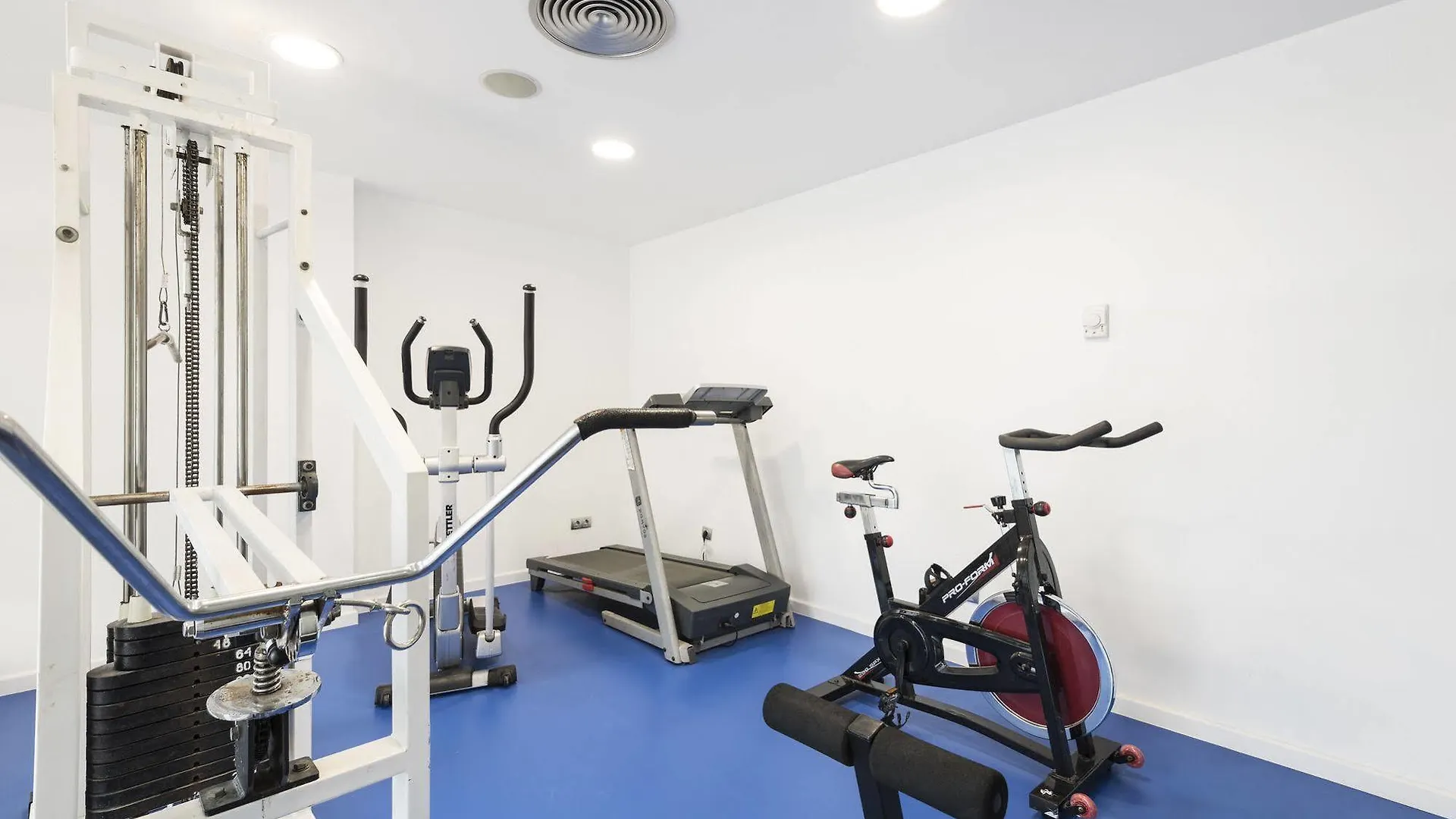 Palm Garden Apartment Port de Alcudia  Spain